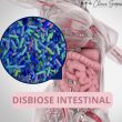 Disbiose-intestinal
